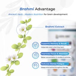 Chocolate Flavour Power ARC Kids Growth Protein Blend (7+ Years) - thumbnail 3