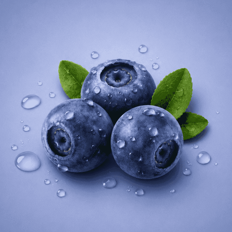 Blueberry Flavour
