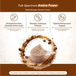 Coffee Flavour Whey Protein Concentrate (1 kg) - thumbnail 4