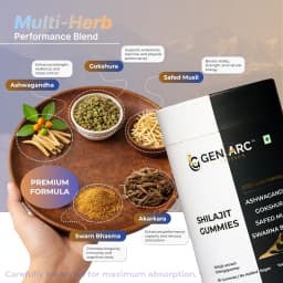 Gen-Arc Shilajit Gummies - thumbnail 3