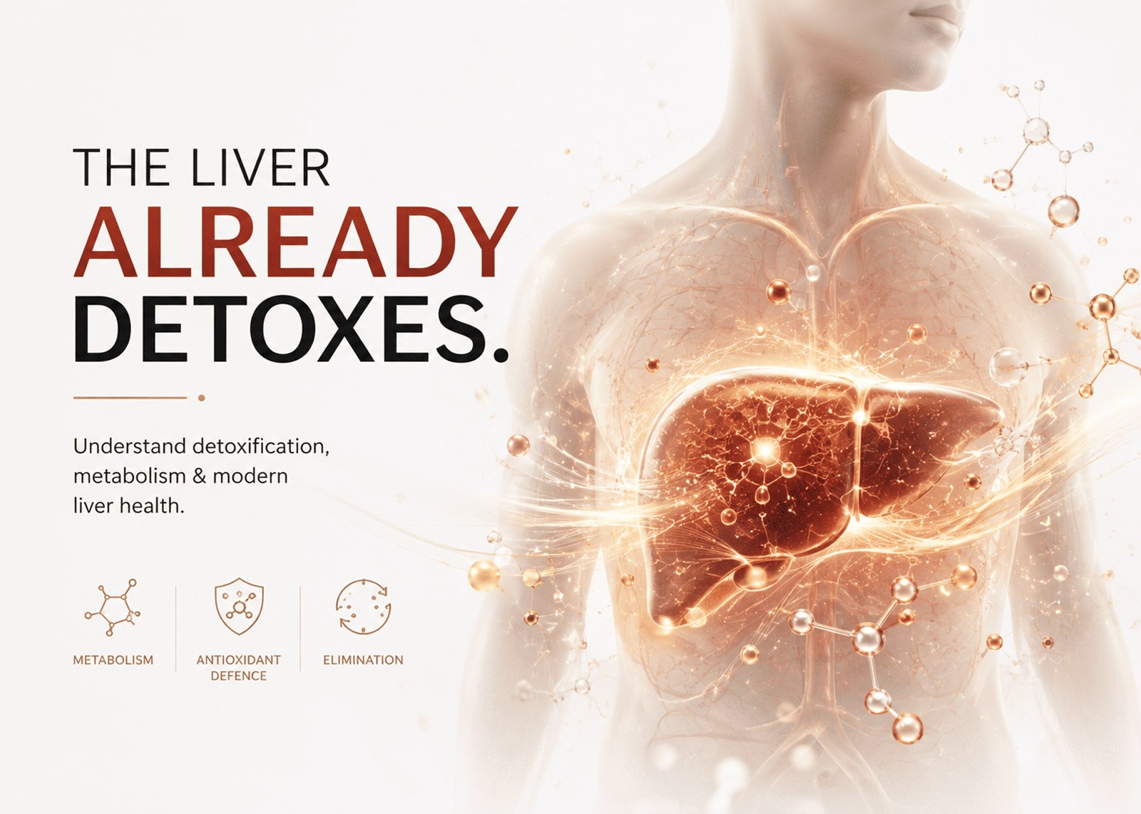 Liver Detox Supplements: Do They Really Work
